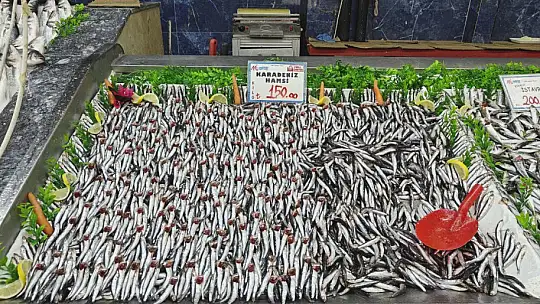 Balık tezgahları şenlendi