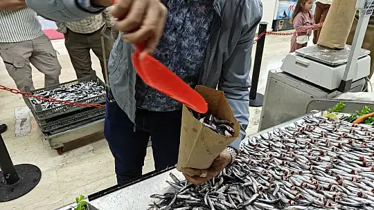 Balık tezgahları şenlendi