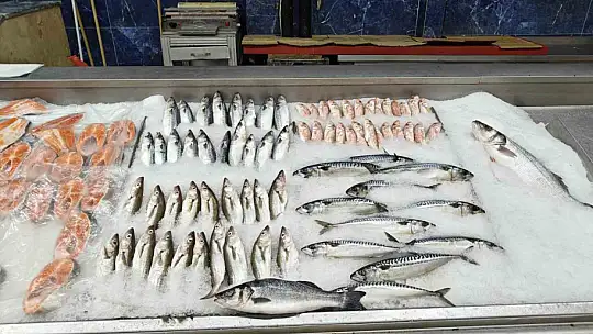 Balıkçılar yeni sezona hazır