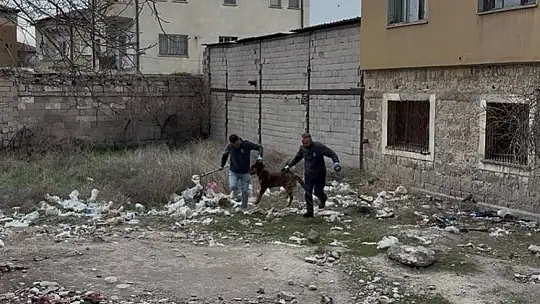 Başıboş köpeğin saldırdığı 3 yaşındaki çocuk ağır yaralandı