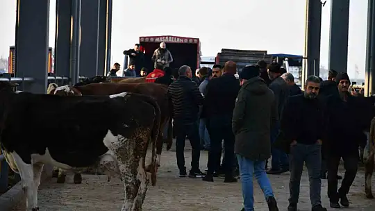 Başkan Bağlamış: 'Kayseri artık tarım ve hayvancılığın öncü şehridir'