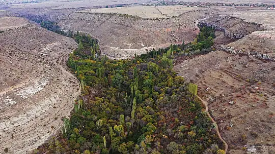 Başkan Büyükkılıç: 'Kayseri, Anadolu'nun hafızasıdır'