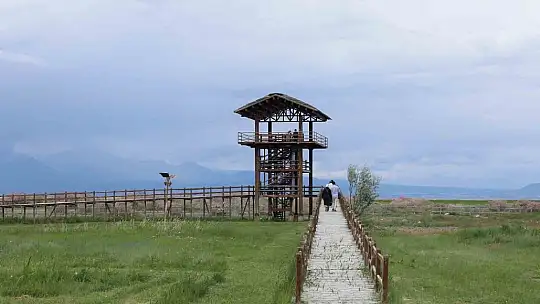 Başkan Büyükkılıç: 'Sultan Sazlığı yeniden canlandı'