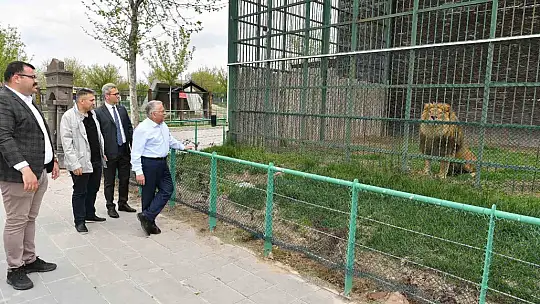Başkan Büyükkılıç, hayvanat bahçesini ziyaret etti