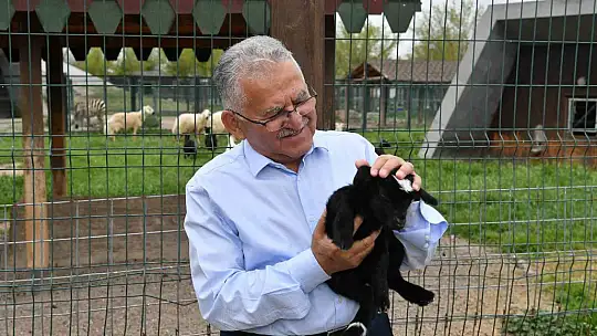 Başkan Büyükkılıç, hayvanat bahçesini ziyaret etti