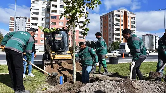 Başkan Çolakbayrakdar: 'Çevreye yatırım, çocuklarımızın geleceğine yatırımdır'
