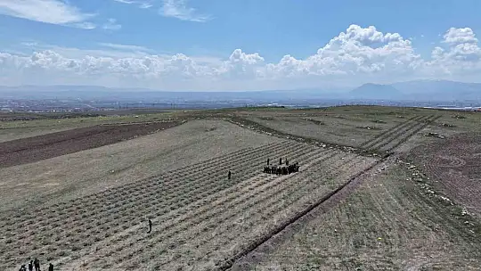 Başkan Çolakbayrakdar: 'Çevreye yatırım, çocuklarımızın geleceğine yatırımdır'