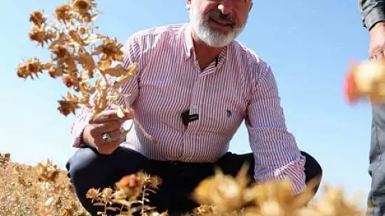 Başkan Çolakbayrakdar: 'Ekiyoruz, üretiyoruz, hasat ediyoruz ve ailelerimizle paylaşıyoruz'