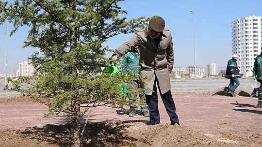 Başkan Çolakbayrakdar: 'Gelecek için yapılacak en önemli yatırım ağaç dikmektir'
