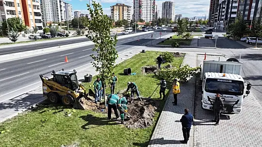 Başkan Çolakbayrakdar: 'Gelecek için yapılacak en önemli yatırım ağaç dikmektir'