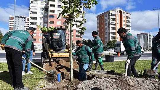 Başkan Çolakbayrakdar: 'Gelecek için yapılacak en önemli yatırım ağaç dikmektir'