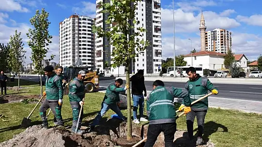 Başkan Çolakbayrakdar: 'Gelecek için yapılacak en önemli yatırım ağaç dikmektir'