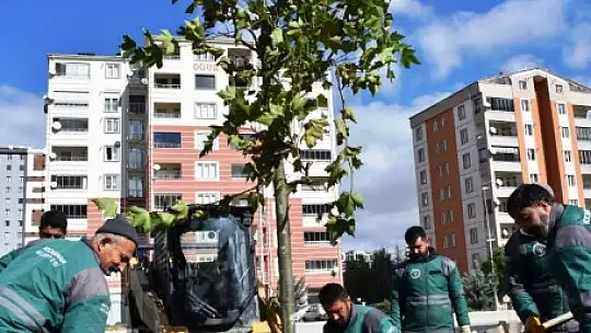 Başkan Çolakbayrakdar: 'Gelecek için yapılacak en önemli yatırım ağaç dikmektir'