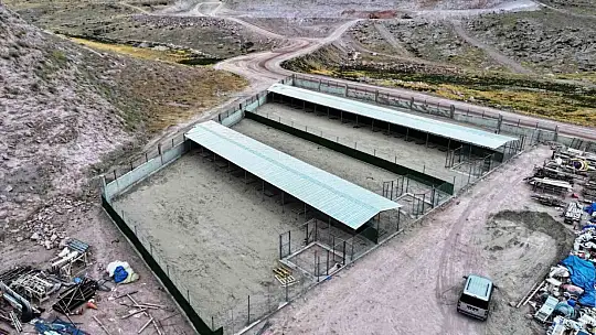 Başkan Çolakbayrakdar: 'Hayvan Bakımevi ve Rehabilitasyon Merkezi'nde en iyisini biz yapıyoruz'