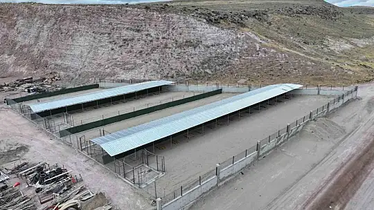 Başkan Çolakbayrakdar: 'Hayvan Bakımevi ve Rehabilitasyon Merkezi'nde en iyisini biz yapıyoruz'