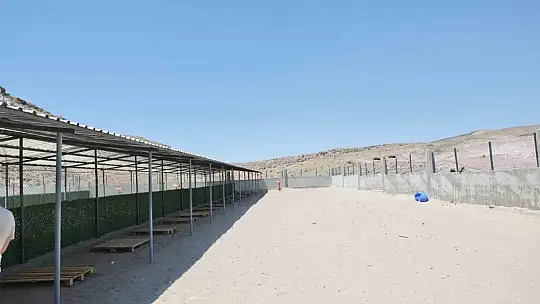 Başkan Çolakbayrakdar: 'Hayvan Bakımevi ve Rehabilitasyon Merkezi'nde en iyisini biz yapıyoruz'