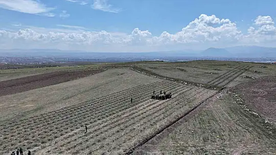 Başkan Çolakbayrakdar: 'İklim değişikliğiyle mücadelenin en etkili yolu ağaç dikmektir'