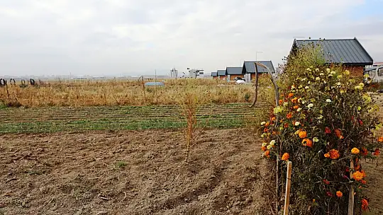 Başkan Çolakbayrakdar: 'Kayseri'mizde bir ilk olan şehir merkezi tarımıyla geleceği inşa ediyoruz'
