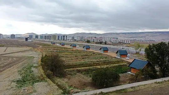 Başkan Çolakbayrakdar: 'Kayseri'mizde bir ilk olan şehir merkezi tarımıyla geleceği inşa ediyoruz'