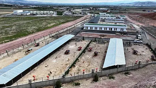 Başkan Çolakbayrakdar: 'Kayseri'miz, model olacak modern hayvan bakımevi ile öncü bir şehir oluyor'