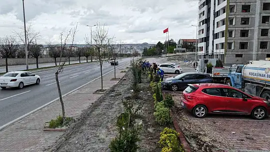 Başkan Çolakbayrakdar: 'Kocasinan'ı yeşille donatıyoruz, Türkiye'ye örnek oluyoruz'