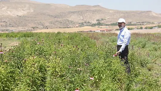 Başkan Çolakbayrakdar: 'Kocasinan tarımda Türkiye'ye model oluyor'
