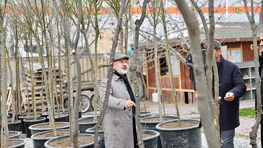 Başkan Çolakbayrakdar: 'Kocasinan'ı her köşesiyle yeşile bürüyerek, şehrimizi yeşilin başkenti yapacağız'