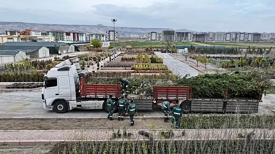 Başkan Çolakbayrakdar: 'Kocasinan'ı her köşesiyle yeşile bürüyerek, şehrimizi yeşilin başkenti yapacağız'