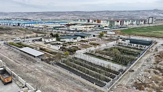 Başkan Çolakbayrakdar: 'Kocasinan'ı her köşesiyle yeşile bürüyerek, şehrimizi yeşilin başkenti yapacağız'