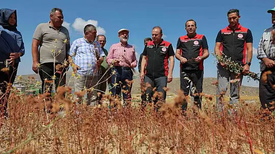 Başkan Çolakbayrakdar: 'Kocasinan'ı arıcılıkta merkeze dönüştüreceğiz, şehre yeni bir tarım ürünü kazandıracağız'