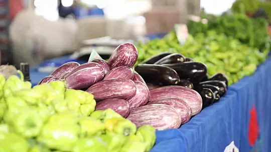 Başkan Çolakbayrakdar: 'Organik tarımı sevdirdik, Kayseri'mize yeni bir vizyon kazandırdık'