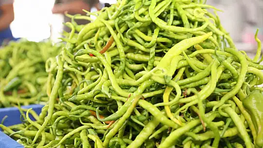 Başkan Çolakbayrakdar: 'Organik tarımı sevdirdik, Kayseri'mize yeni bir vizyon kazandırdık'