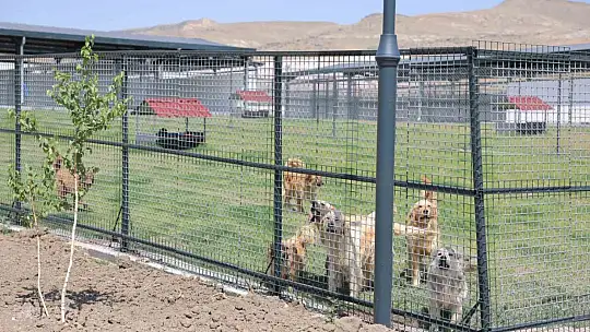 Başkan Çolakbayrakdar: 'Şehrimize bir ilki daha kazandırmanın mutluluğunu yaşıyoruz'