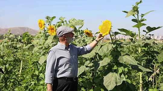 Başkan Çolakbayrakdar: 'Şehrin kalbinde tarımla, ülkemizin tarımsal geleceğini şekillendiriyoruz'