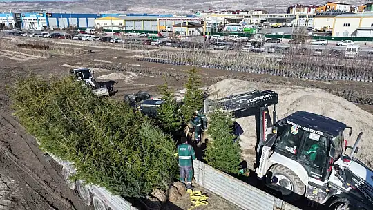 Başkan Çolakbayrakdar: 'Şehrin yeşil geleceğini Kocasinan'da inşa ediyoruz'