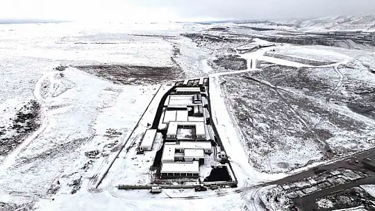 Başkan Çolakbayrakdar: 'Sevgiyle inşa ettik, sokak hayvanları için sıcak bir yuva kurduk'