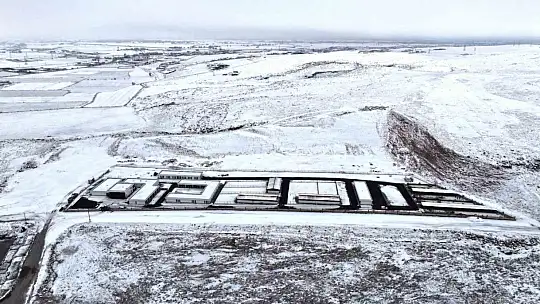 Başkan Çolakbayrakdar: 'Sevgiyle inşa ettik, sokak hayvanları için sıcak bir yuva kurduk'