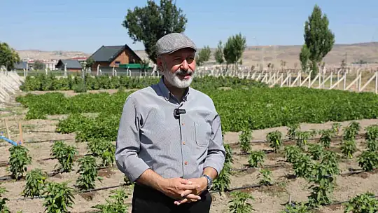 Başkan Çolakbayrakdar: 'Toprağımıza bereket, çiftçimize yeni kazanç kapısı açıyoruz'