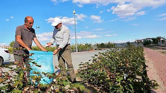 Başkan Çolakbayrakdar: 'Türkiye'nin en kapsamlı fidanlığıyla Kayseri'mizin yeşil dokusunu çeşitlendiriyoruz'