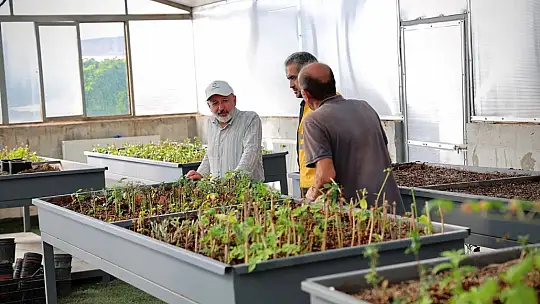 Başkan Çolakbayrakdar: 'Türkiye'nin en kapsamlı fidanlığıyla Kayseri'mizin yeşil dokusunu çeşitlendiriyoruz'