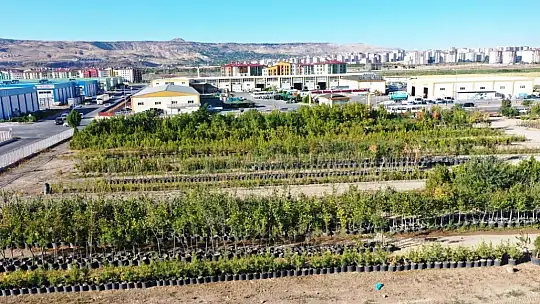 Başkan Çolakbayrakdar: 'Türkiye'nin en kapsamlı fidanlığıyla Kayseri'nin yeşil dokusu zenginleşiyor'