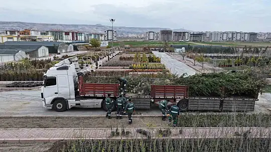 Başkan Çolakbayrakdar: 'Türkiye'de ağaç dikmede rekor kırdık, şimdi yeni bir rekor için çalışıyoruz'