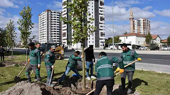 Başkan Çolakbayrakdar: 'Türkiye'de ağaç dikmede rekor kırdık, şimdi yeni bir rekor için çalışıyoruz'