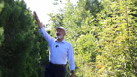 Başkan Çolakbayrakdar, 'Yeşil alanda da rekor üstüne rekor kırdık'