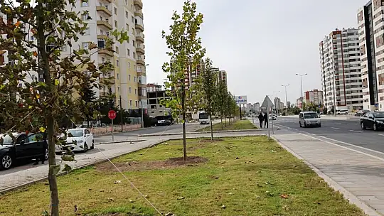 Başkan Çolakbayrakdar: 'Yeşil alanda dünya standardını 3'e katlayacağız'