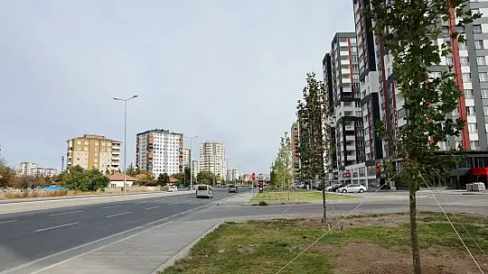 Başkan Çolakbayrakdar: 'Yeşil alanda dünya standardını 3'e katlayacağız'