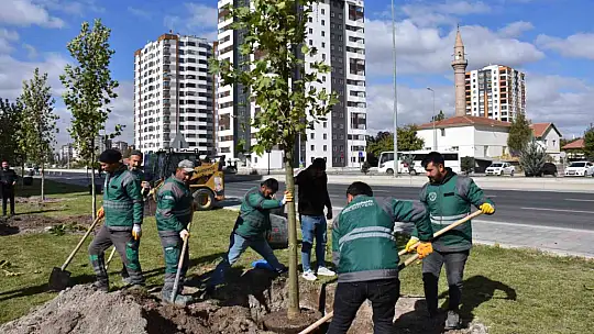Başkan Çolakbayrakdar: 'Yeşil alanda dünya standartlarını üçe katlıyoruz'
