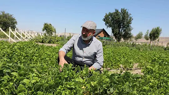 Başkan Çolakbayrakdar: Ata tohumlarımızı yaşatıyor, geleceğe taşıyoruz'