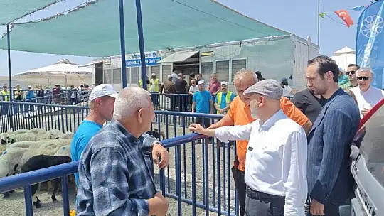 Başkan Çolakbayrakdar'dan Bülbülpınarı Kesim Yeri incelemesi