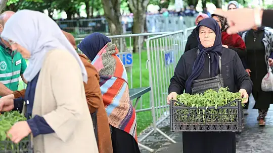 Başkan Çolakbayrakdar'dan organik domates fidesi dağıtımına davet